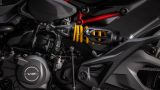 Ducati Monster 890 09