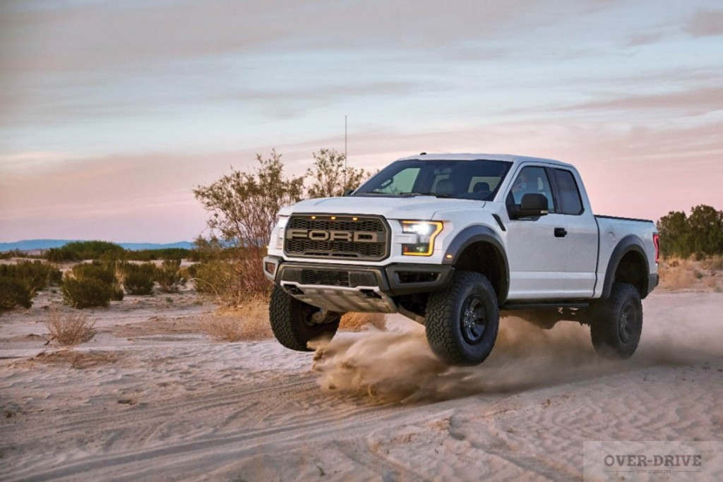 raptor