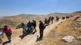 bmw טיול האופנועים השנתי של