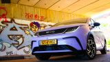 BYD Dolfin 03