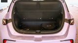BYD Dolfin 21