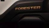 Forester Wilderness 2025 04