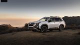Forester Wilderness 2025 08