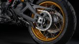 Multistrada V4 Rally 10
