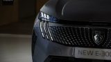 Peugeot 3008 2024 12