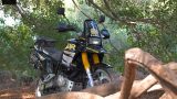 Suzuki DR 40 years 01