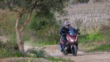 adv (50 of 58)