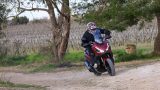 adv (51 of 58)