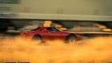 lancia stratos (8)